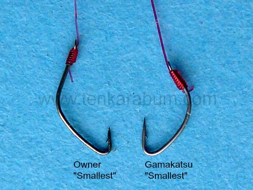 The WORLD'S SMALLEST Fishing Hook! Would you ever use this? #fishing #, Fishing