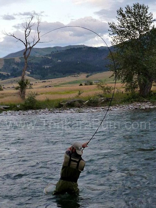 Suimenka Zoom Tenkara Fly Fishing Rod With Rod Sock And Carbon Fiber Travel  Case, Tenkara Fishing