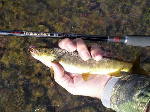 Forgotten Fly Rods  Ask About Fly Fishing