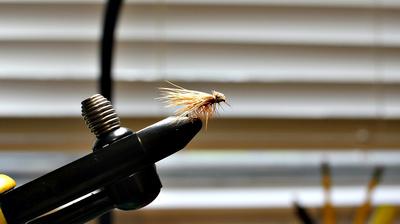 Soft, Full-Flex Rods Cast Dry Flies Like a Dream