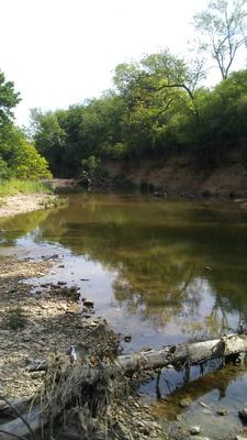 The local creek