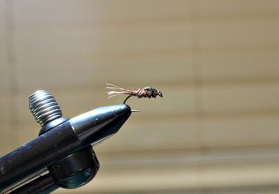 Frank Sawyer's Pheasant Tail Nymph