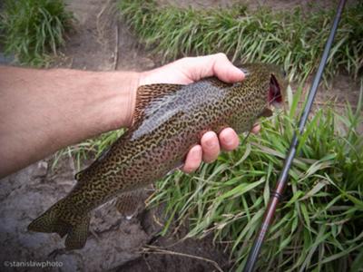 Last cast of the trip, as thunder storms roared in