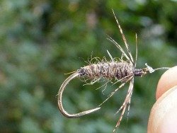 brown-yarn-bodied-soft-hackle.jpg