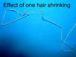 How to make a horse-hair fish line – Lost Wit and Wisdom