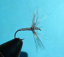 Ishigaki Kebari gray/grizzly in the vise