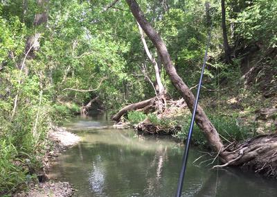 Beautiful little stream!