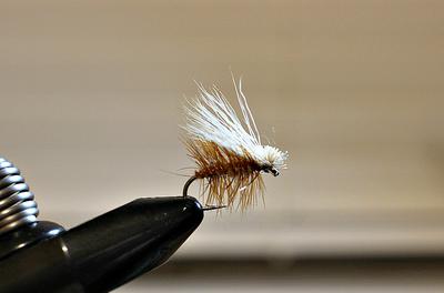 Elk Hair Caddis