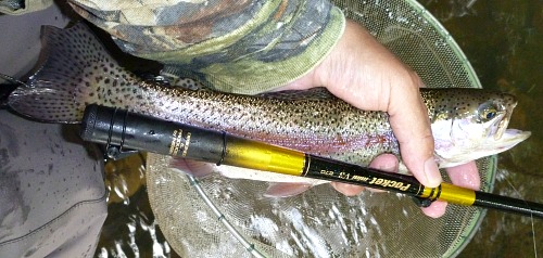 Angler holding rainbow trout and Pocket Mini