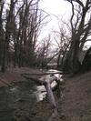 The Rio Peñasco in winter (sorry the snow is gone)