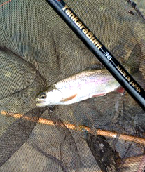 Crane Creek McCloud Rainbow