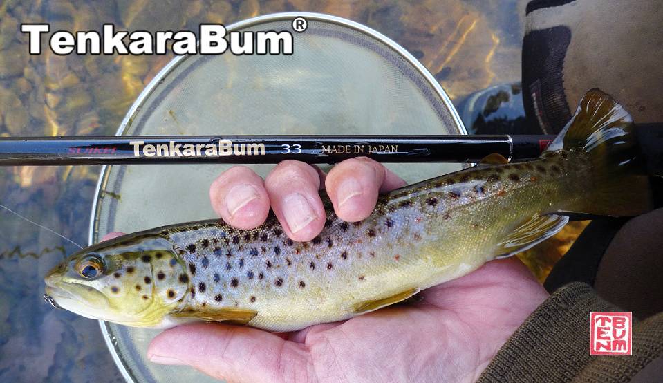 Five Tips for Keiryu Fishing with Live Crickets